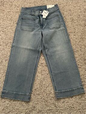American Eagle Outfitters Gravity Blue High-Rise Stovepipe Crop Jeans